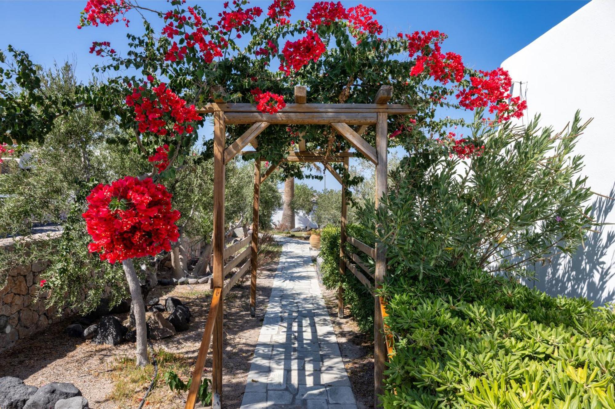 Anema Boutique Hotel & Villas Santorini Vourvoúlos Eksteriør bilde